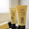 pineapple_hair_care01